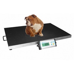 Veterinary Scales  Veterinary Scales