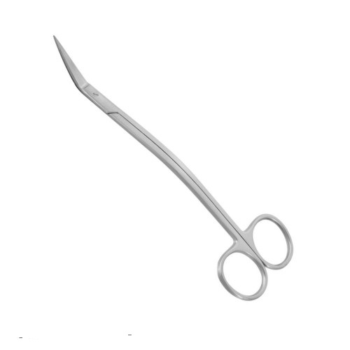 Tonsil Scissors