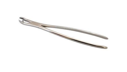 Hewson Dental Equine Forceps