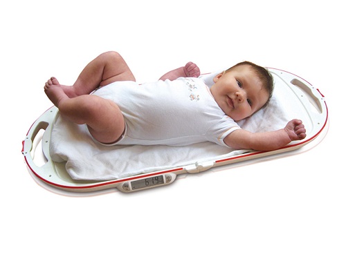 SOEHNLE Foldable Baby Scale