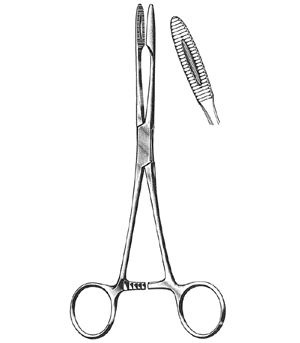 Gross Maier  Forceps