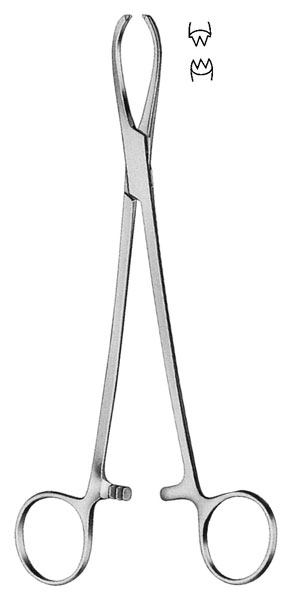 LITTLEWOOD Intestinal Forceps