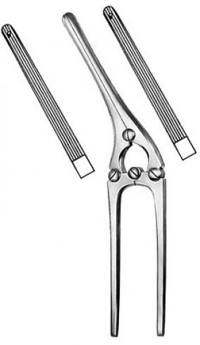PAYR Stomach Clamp Forceps