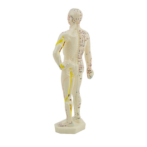 Small Acupuncture Figure