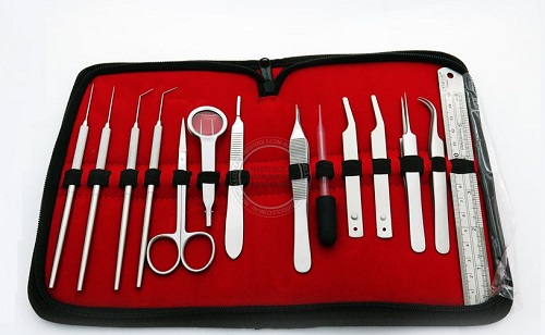 Entomology Dissection Kit  Small