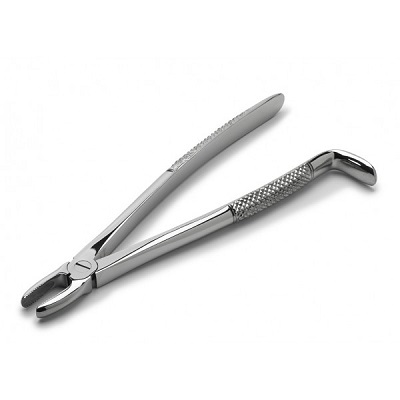 Equine  Wolf Tooth Forceps 24 cm